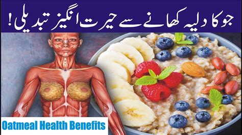 jo ka dalia  faiday  urdu oatmeal benefits jo ka daliya benefits  urdu hindi youtube