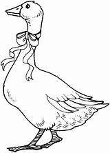 Oca Bel Fiocco Goose Disegno Stampare sketch template