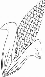 Corn Coloring Pages Barley Preschool Stalk Milho Para Desenho Molde Pintar Vegetables Kids Printable Candy Sheets Fruits 47kb sketch template