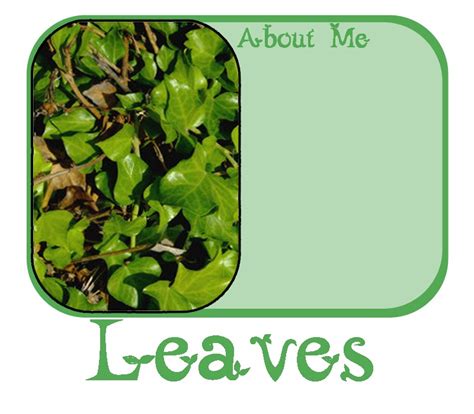 leaves  life div overlay myspace layout preview createblog