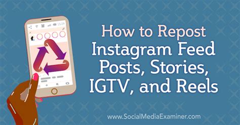 repost instagram feed posts stories igtv  reels social