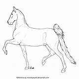 Saddlebred Coloring sketch template