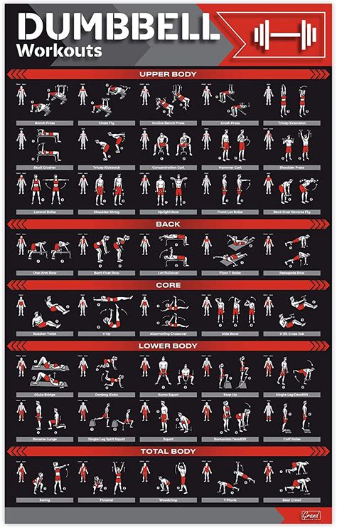 laminated large dumbbell workout poster perfect dumbbell