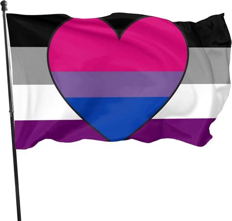 Minioze Biromantic Bi Bisexual Ace Asexual Pride Heart