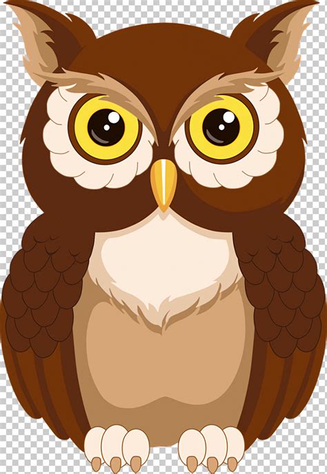 owls birds drawing owl cartoon png clipart birds cartoon drawing