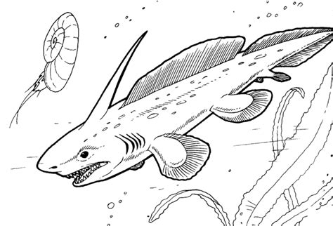 shark coloring pages printable