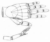 Anatomy Hand Drawing Practice Solo Age Deviantart Favourites Add 2003 Artist sketch template