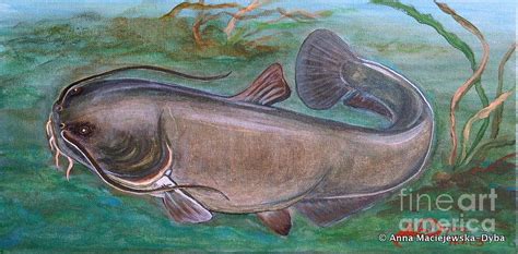 great catfish painting  anna folkartanna maciejewska dyba