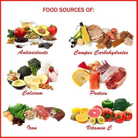 chart showing food sources of various nutrients posters by robyn