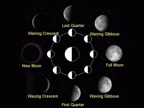 ms gattis science blog lunar cycle
