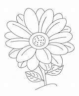 Gerber Daisy Coloring Pages Awesome Getcolorings Printable Getdrawings sketch template