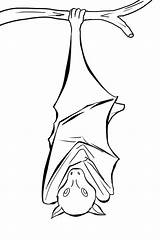 Upside Bats Coloring4free Everfreecoloring 775d Fledermaus sketch template