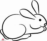 Outline Rabbit Bunny Clipart Animals Animal Small Clip Head Cliparts Coloring Cartoon Rabbits Color Wikiclipart Clipartmag Cliparting Jpeg Related Library sketch template