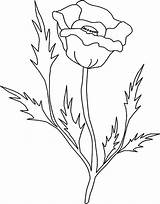 Poppy California Coloring Pages Rush Gold Leaves Drawing Outline Botanical Pointy Getdrawings Choose Board Leaf Getcolorings sketch template