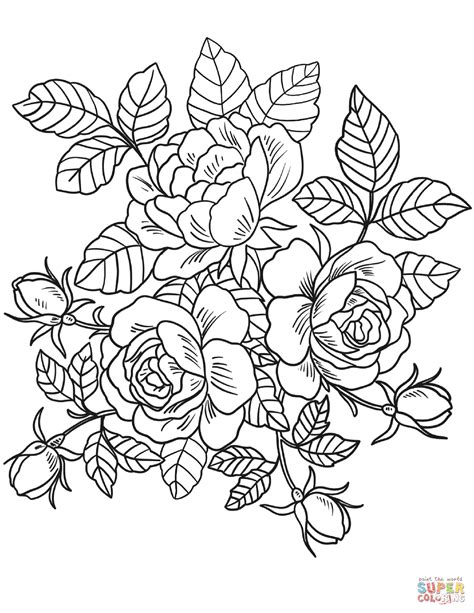 roses flowers coloring page  printable coloring pages