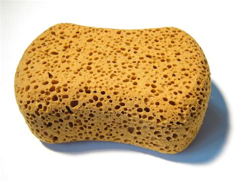 sponge alastair puddick