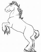 Horse Rearing Coloring Pages Horses Print Printable Draw Drawings Getcolorings Sheets Getdrawings Color Pencil sketch template