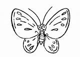 Butterfly Cute Coloring Pages Cartoon Butterflies sketch template