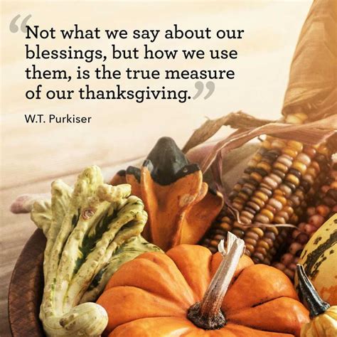 powerful quotes  perfectly capture  true meaning  thanksgiving