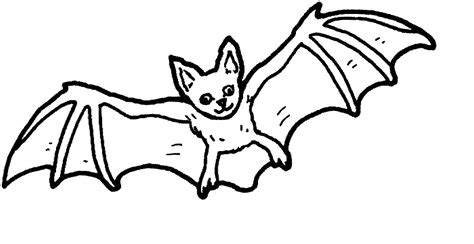 baby bat coloring pages  getdrawings