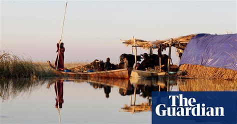 Iraq S Marsh Arabs Test The Waters As Wetlands Ruined By