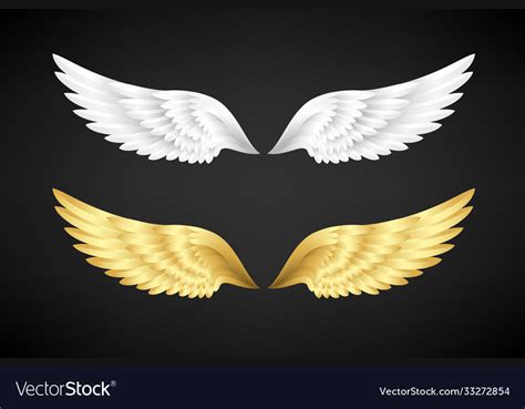 white  gold angel wings collection royalty  vector