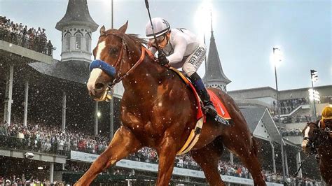 kentucky derby  contenders horses subject lineup odds skilled