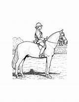 Cavalo Montado Horse Menino Qdb sketch template