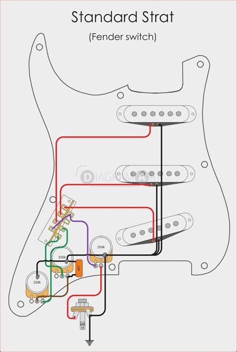 fender standard wiring diagrams