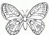 Coloring Insect Pages Popular sketch template