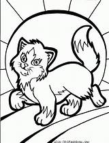 Coloring Kitten Pages Cat Kittten Cats Prancing sketch template
