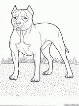 Colorkid Colorear Terrier sketch template