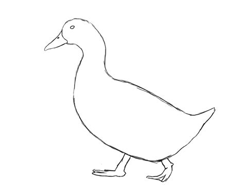 draw  duck draw central