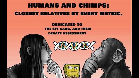 how similar are humans and chimps comparative genetics and creationist