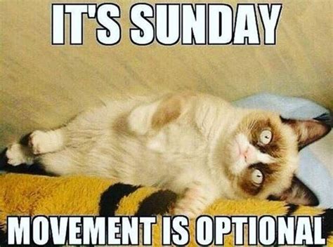 95 Best Funny Sunday Memes For The Weekend Funzumo