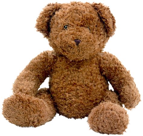 teddy bear   png png  png