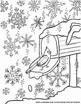 Coloring Winter Pages January Printable Adults Sports Crayola Color Detailed Snowflake Adult Getcolorings Pdf Kindergarten Snowflakes Getdrawings Wonderland Pag Print sketch template
