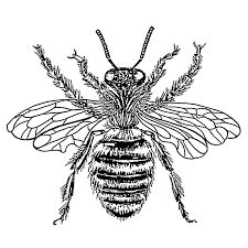 queen bee google search insect clipart bee clipart vintage honey