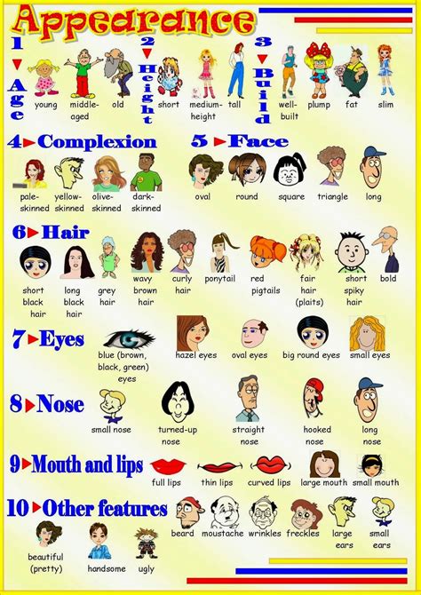 describing people  physical appearance adjectives list learn