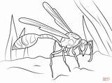 Wasp Coloring Mud Pages Dauber Hornet Drawing Printable Hornets Cartoon Supercoloring Color Charlotte Getcolorings Getdrawings Crafts Categories Insects sketch template