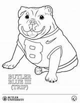 Coloring Bulldog Pages English Georgia Butler Part Color Family Blue Print Copies Friends Would Popular sketch template