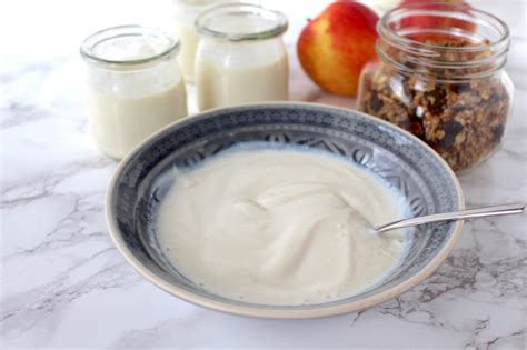veganer joghurt rezept zum selbermachen minamade