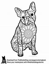 Coloring Pages Shepherd Boston Terrier German Endangered Species Australian Dog Adult Massacre Book Sheets Color Getcolorings Mastiff Highland West Realistic sketch template