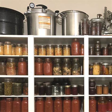 synthesize    articles   preserve canned food latest