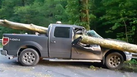 bizarre pickup crash  fallen tree  viral charlotte