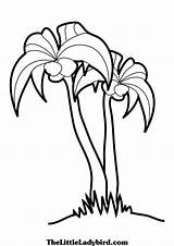 Tree Coloring Palm Pages Branches Palmetto Beach Trees Clipartbest Drawing Sabal Club Clip Getdrawings Template Clipart sketch template