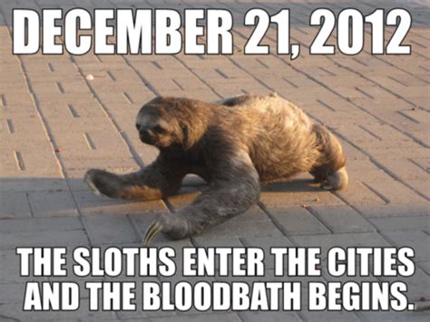 [image 516342] Sloths Know Your Meme