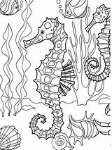 Coloring Sea Under Pages Color Creatures Print Underwater Kids Adult Book Adults Life Drawing sketch template