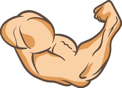 arms thumb muscle clip art  powerful arm   muscle arms png