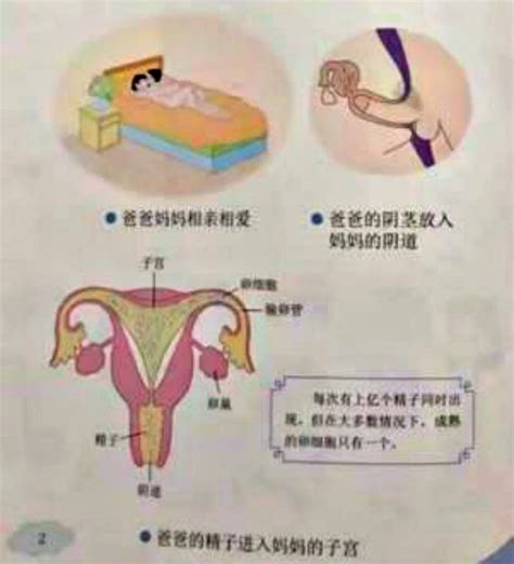 6 Reasons Why This Chinese Sex Education Textbook For